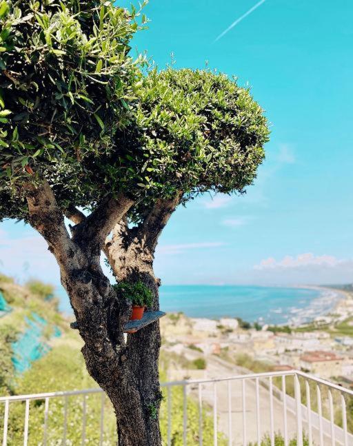 Lavinum Vila Monte di Procida Exterior foto